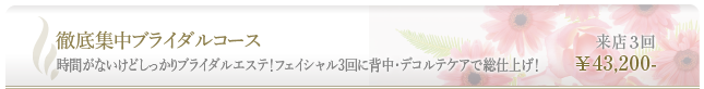 時間がないけどしっかりブライダルエステ！フェイシャル3回に背中・デコルテケアで総仕上げ！