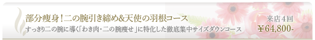 すっきり二の腕に導く「わき肉・二の腕痩せ」に特化した徹底集中サイズダウンコース