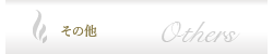 その他のメニュー
