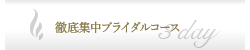 徹底集中ブライダルコース