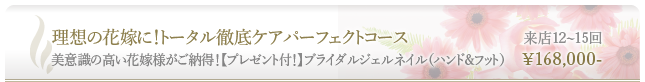 美意識の高い花嫁様がご納得!【プレゼント付!】ブライダルジェルネイル(ハンド&フット)